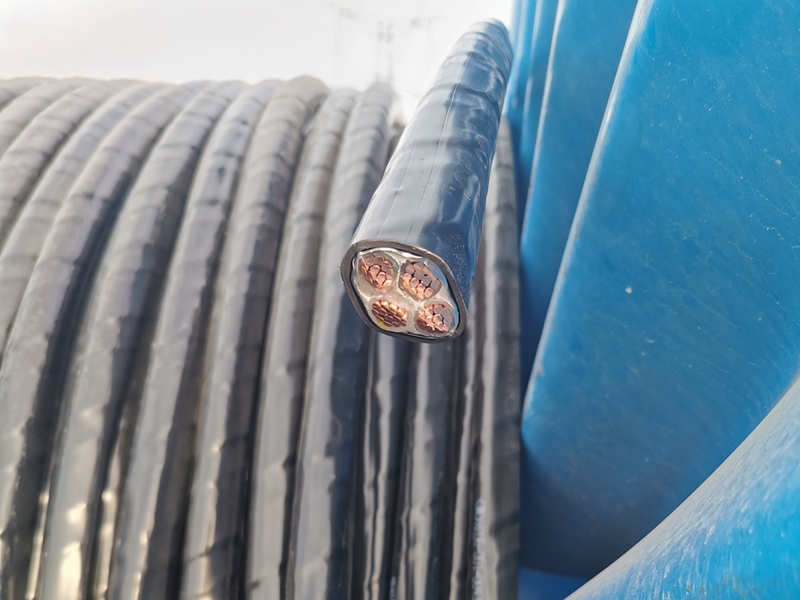 鎧裝電纜價格比普通電纜的貴憑什么？