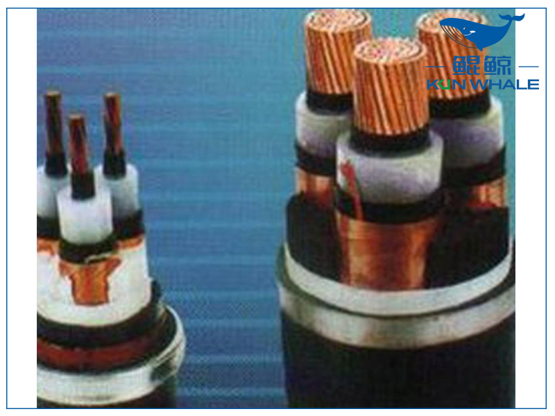 河南太平洋電纜淺談想要家裝電線不被坑，那就看好這五步