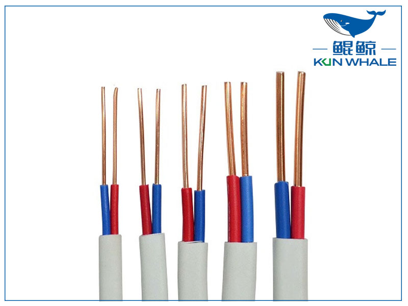 太平洋線纜帶你了解什么是<i style='color:red'>bvvb</i>電線？